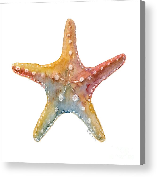 #faatoppicks Acrylic Print featuring the painting Starfish by Amy Kirkpatrick