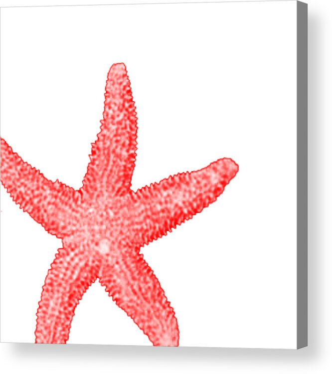 Starfish Pillow Acrylic Print featuring the digital art Starfish by Bonnie Bruno
