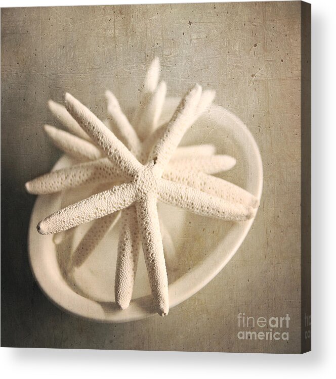 Starfish Acrylic Print featuring the photograph Starfish In A Bowl by Sylvia Cook