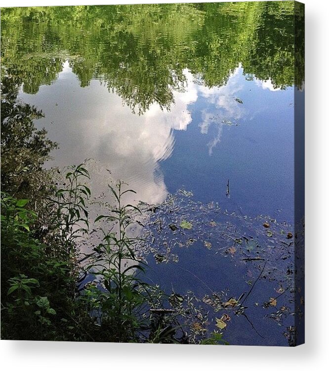 Summer Acrylic Print featuring the photograph Such Beauty Resides In A Reflection Not by Amber Flowers