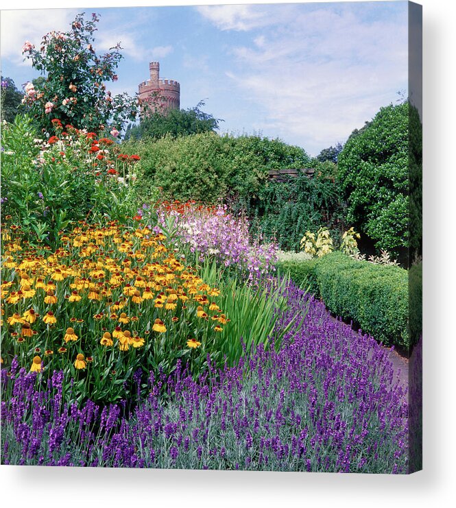 Herbaceous Border Acrylic Print featuring the photograph Summer Border by Anthony Cooper/science Photo Library