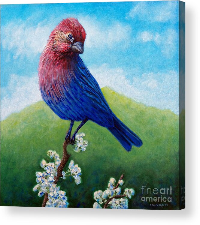 Bird Acrylic Print featuring the painting Summertime by Brian Commerford