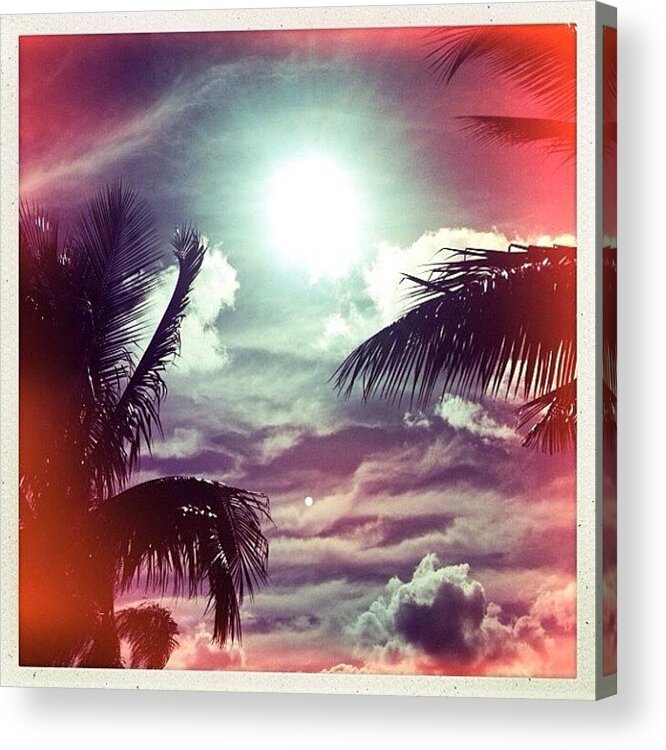 Sun Acrylic Print featuring the photograph Sun and the Sky by Kerri Green