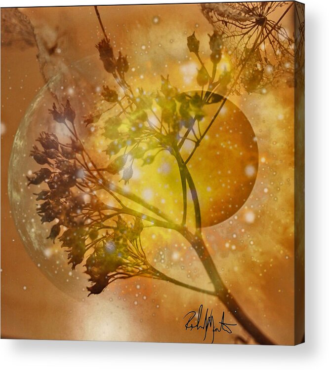 Digital Art Acrylic Print featuring the photograph Sun-moon by Richard Montemurro