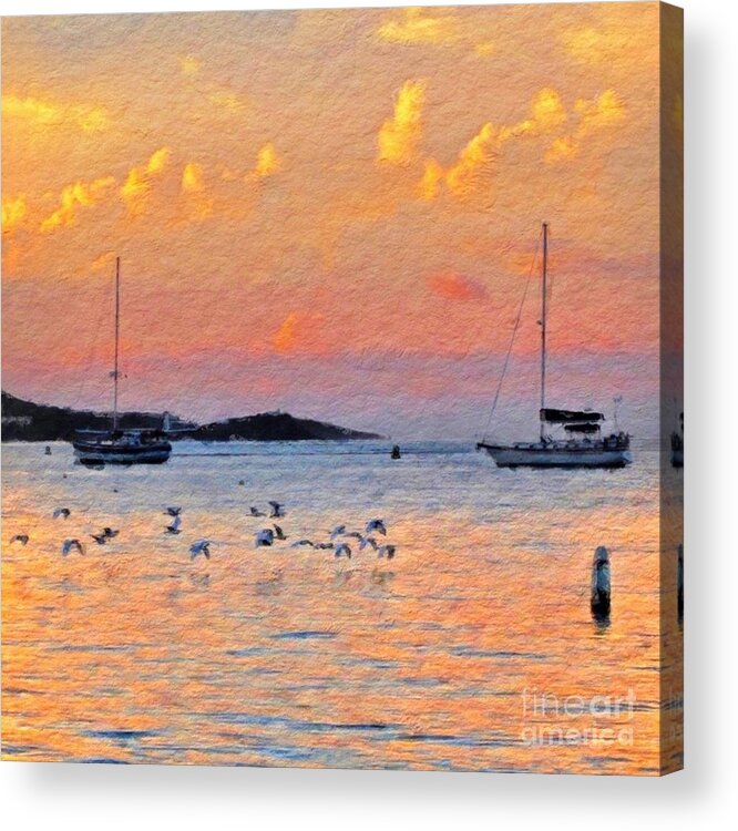 Sharkcrossing Acrylic Print featuring the digital art S Sunset Harbor with Birds - Square by Lyn Voytershark