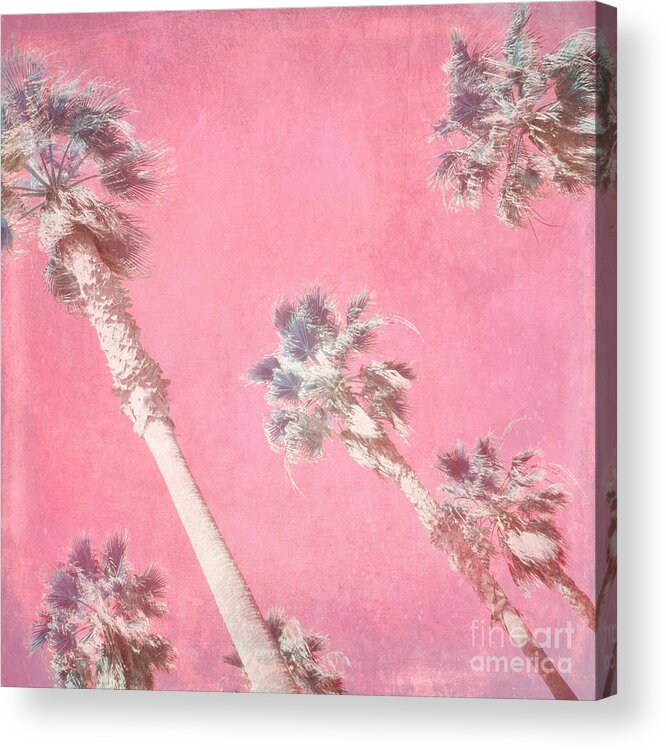 Palm Trees Acrylic Print featuring the photograph Sunset Palms by Lisa Argyropoulos