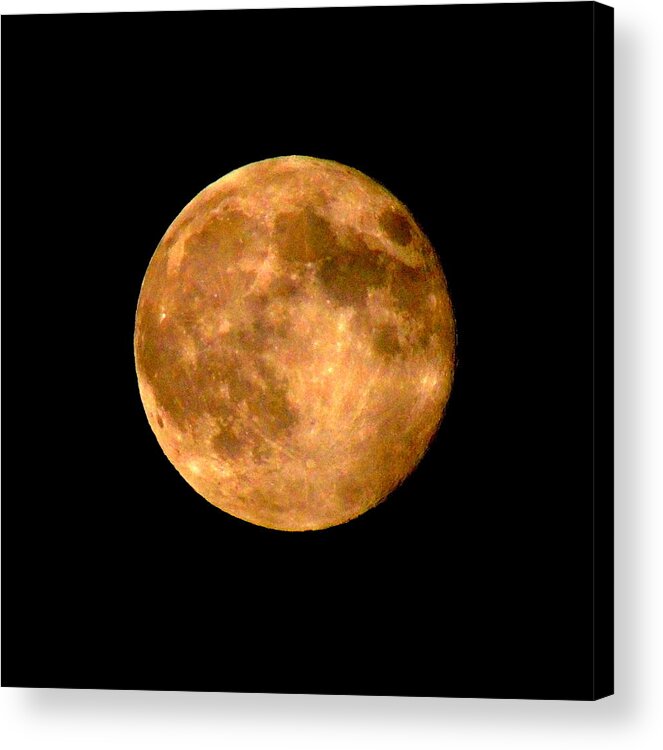 Moon Acrylic Print featuring the photograph Super Moon 2013 by Mim White