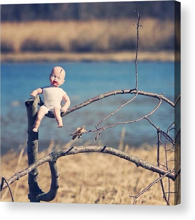 Cute Acrylic Print featuring the photograph Taking The Little One To The Park by Craig Kempf