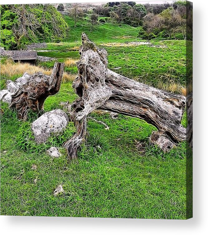 Beautiful Acrylic Print featuring the photograph #tangledfx #malham#trees #countryside by Steve Jones