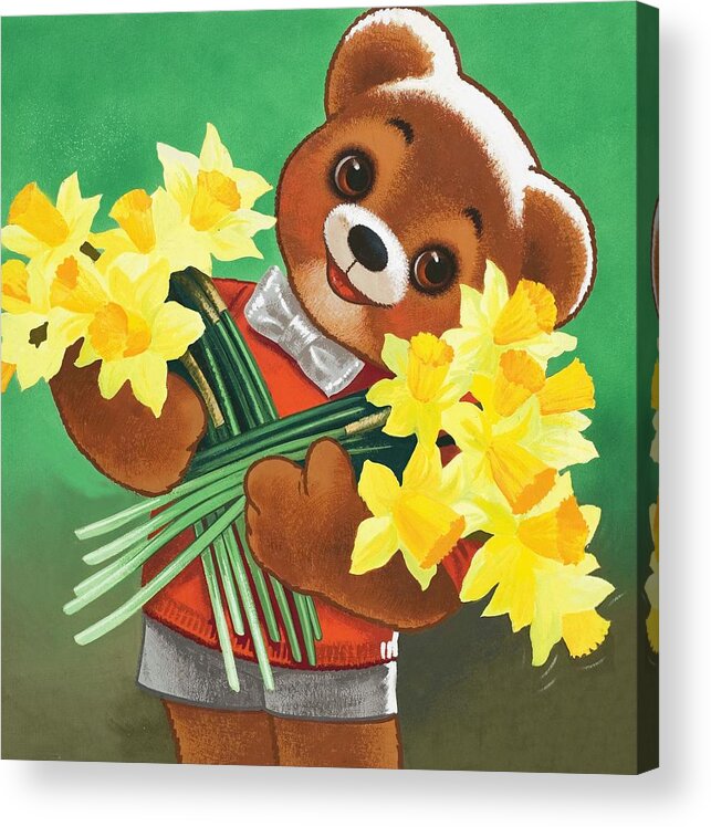 Daffodils Acrylic Print featuring the painting Teddy Bear by William Francis Phillipps