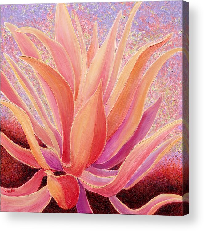 Succulent Acrylic Print featuring the painting Tequila Sunrise by Sandi Whetzel