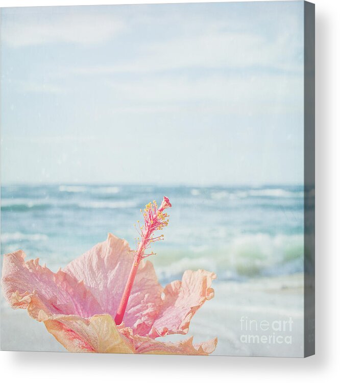 Aloha Acrylic Print featuring the photograph The Blue Dawn by Sharon Mau