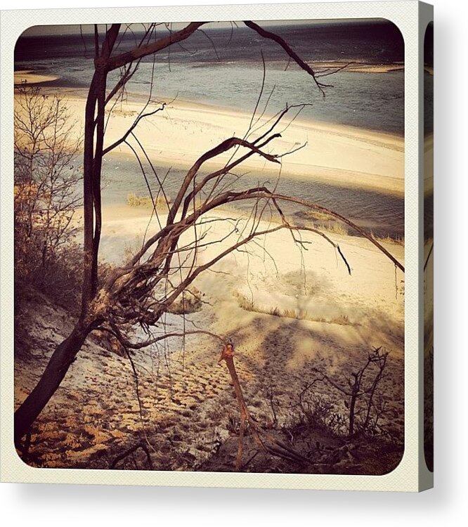 Beach Acrylic Print featuring the photograph The Bluff by FC Designs