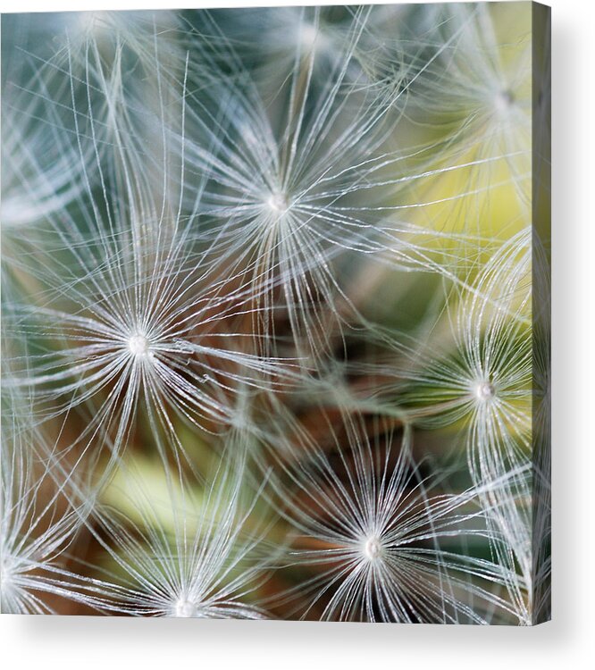  Acrylic Print featuring the photograph The Clock by Wendy Wilton