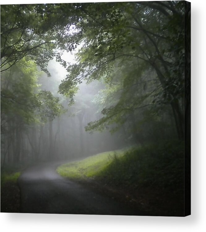 Light Acrylic Print featuring the photograph The Light Leading Home 3 by Diannah Lynch