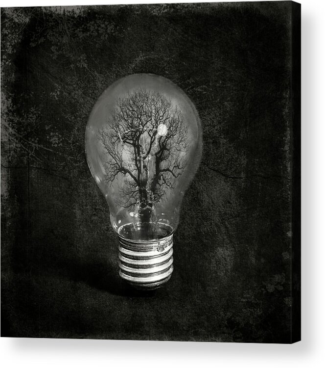 Tree Acrylic Print featuring the photograph The Tree by Igor Genovesi