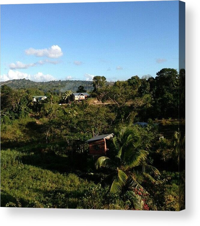  Acrylic Print featuring the photograph The View From Front Yard by Atiba B