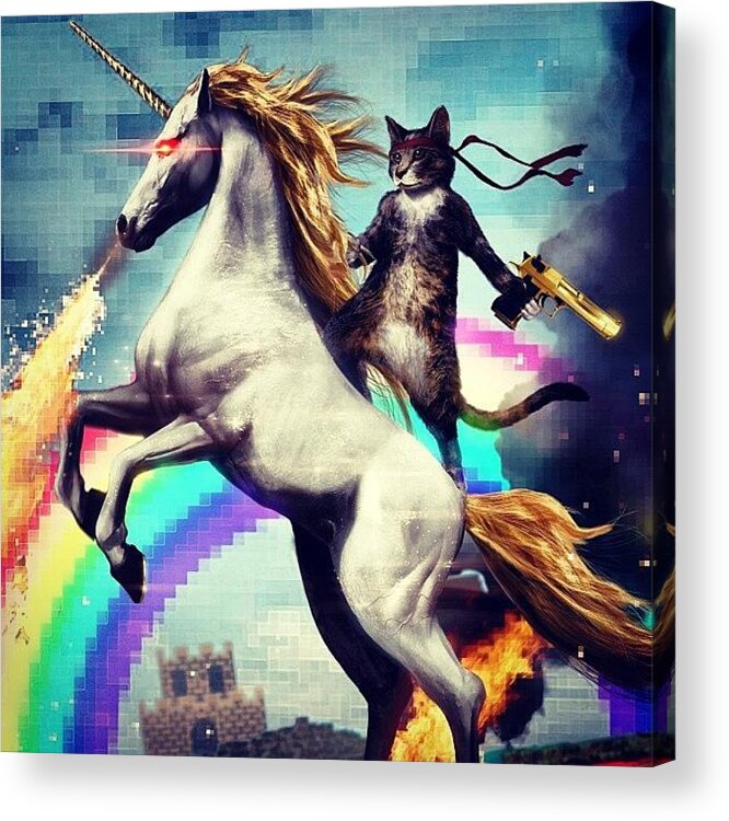 Ninjacat Acrylic Print featuring the photograph This Is.... Awesome! #cat #unicorn by Braden Chaufty