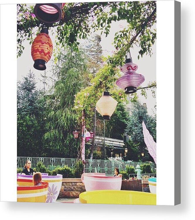Disneyland Acrylic Print featuring the photograph The Land of Fantasy by Sara Dye