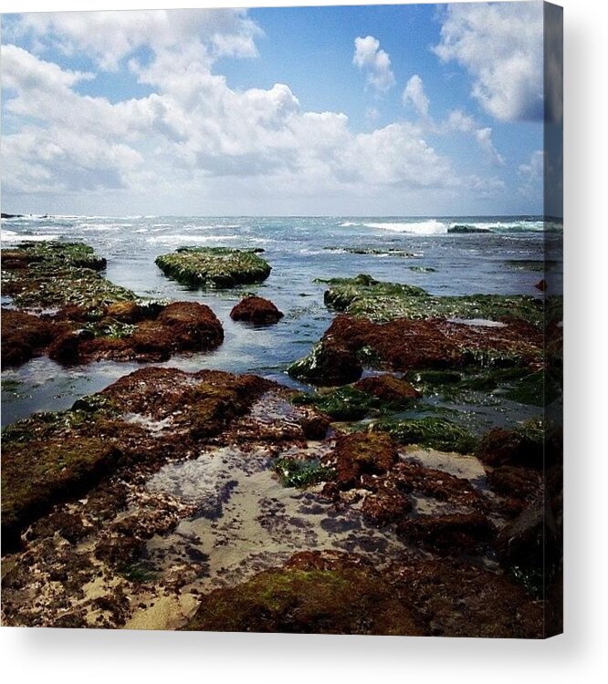 California Acrylic Print featuring the photograph Tide Pools by J Lopez