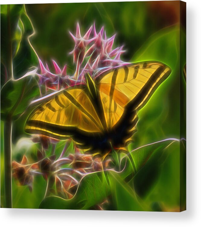 Tiger Swallowtail Butterfly Acrylic Print featuring the digital art Tiger Swallowtail Digital Art by Ernest Echols