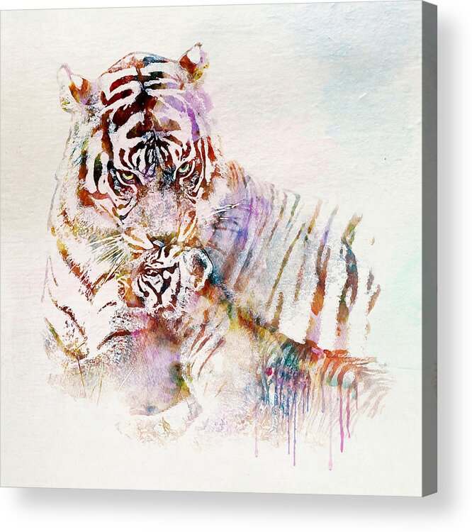 Tiger Acrylic Print featuring the painting Tiger with Cub watercolor by Marian Voicu
