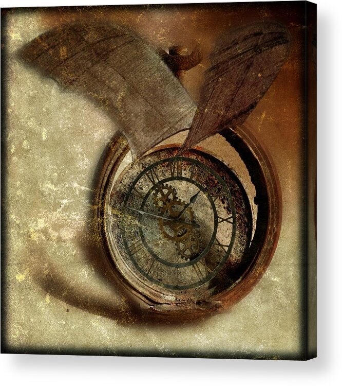Watch Acrylic Print featuring the photograph Time Flies by Tracy Thomas