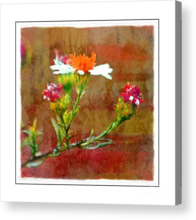 Tiny Acrylic Print featuring the photograph Tiny Wildflowers - Digital Paint IV White Frame by Debbie Portwood