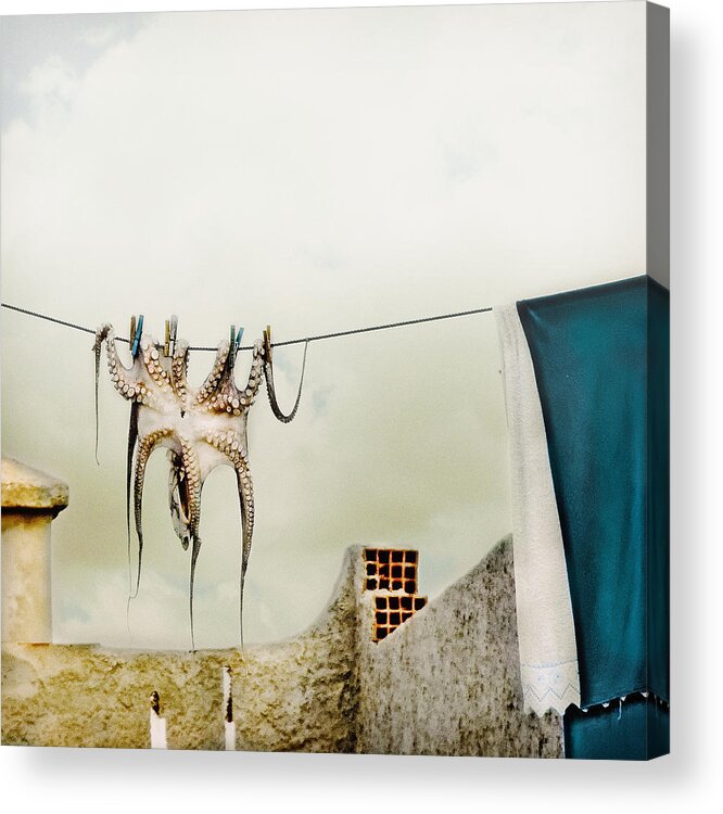 Octopus Acrylic Print featuring the photograph Tote Hose by Ambra