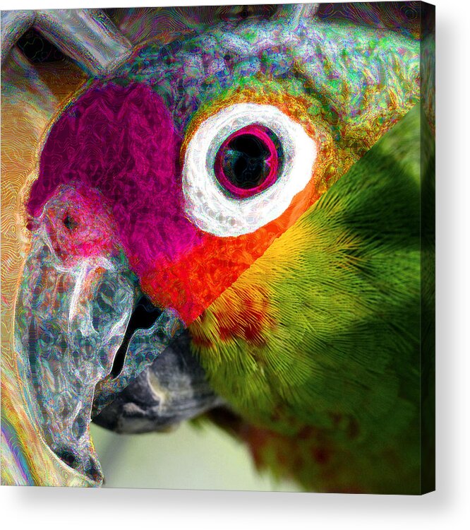 Parrot Acrylic Print featuring the photograph Transformer Group Logo 4 by Rory Siegel