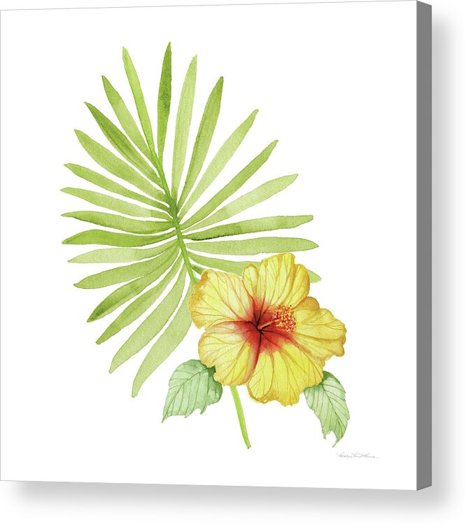 Florals Acrylic Print featuring the painting Treasures Of The Tropics Xi by Kathleen Parr Mckenna