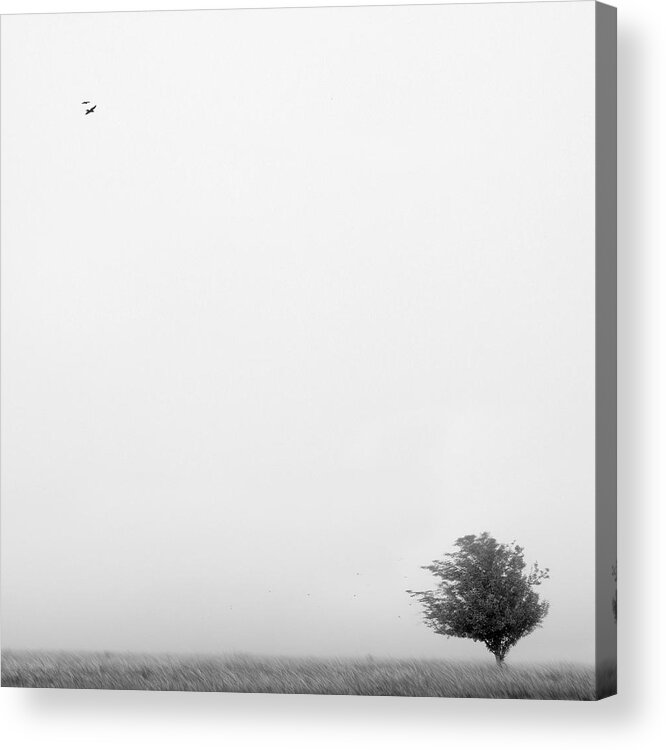 Landscape Acrylic Print featuring the photograph Tree in the Wind by Mike McGlothlen