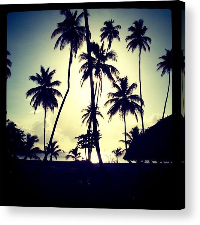 Jselondon Acrylic Print featuring the photograph Tropical Sunset by James McCartney