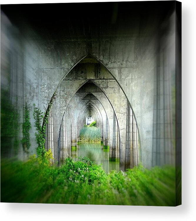 Arch Acrylic Print featuring the photograph Tunnel Effect by Nick Kloepping