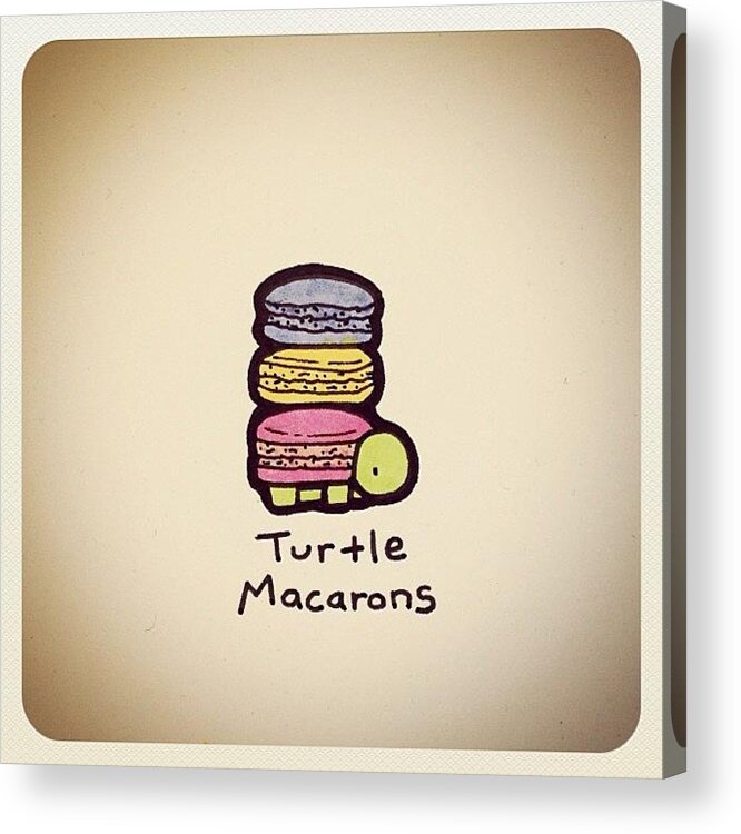  Acrylic Print featuring the photograph Turtle Macarons by Turtle Wayne