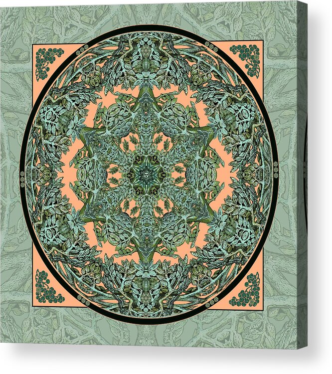 Mandala Acrylic Print featuring the digital art Verdigris Leaf and Branch by Deborah Smith