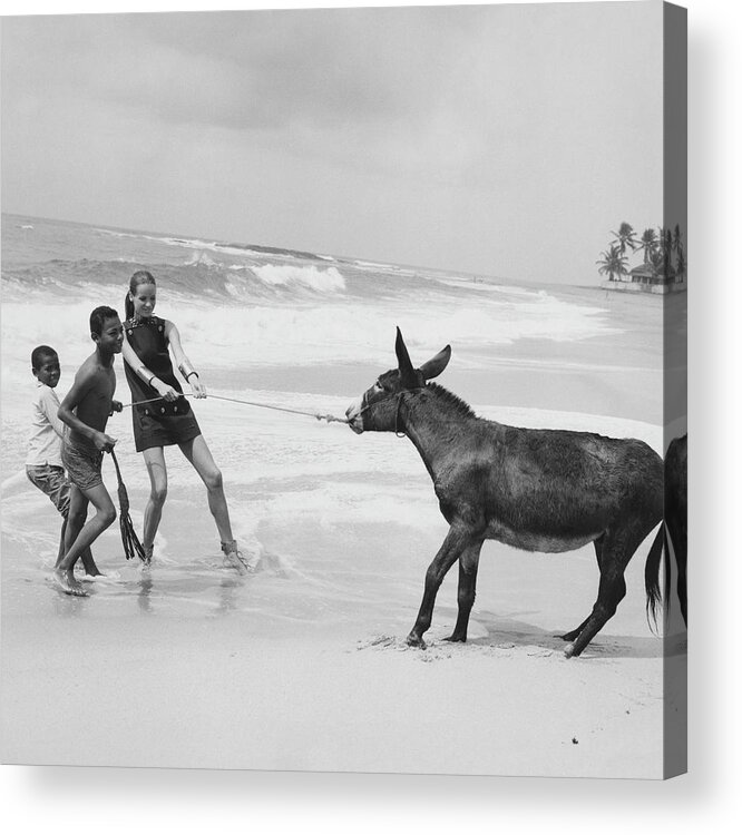 Animal Acrylic Print featuring the photograph Veruschka Von Lehndorff And Two Children Pulling by Franco Rubartelli