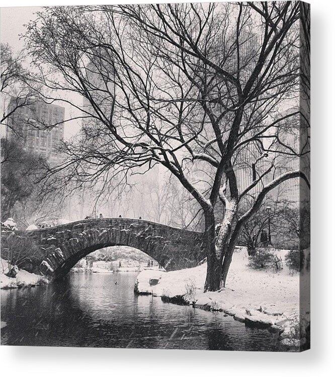  Acrylic Print featuring the photograph Walking In The Snow by Randy Lemoine