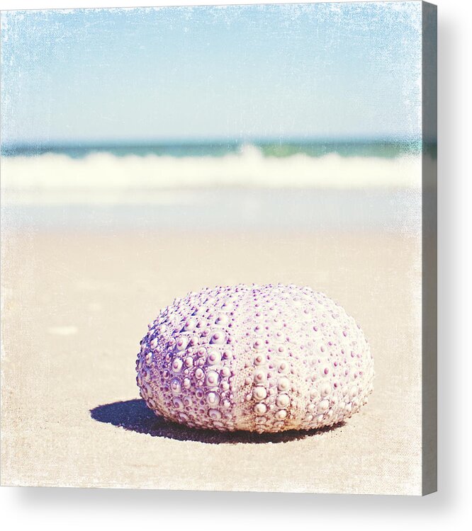 Seashell Acrylic Print featuring the photograph Walking the Shore - Seashell Beach Photography by Carolyn Cochrane