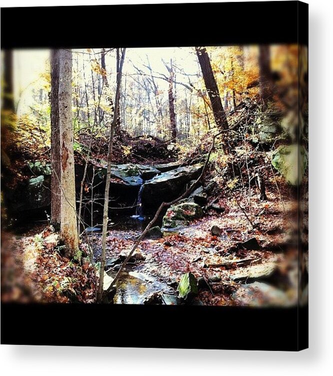Creek Acrylic Print featuring the photograph Waterfalling by J Telischak
