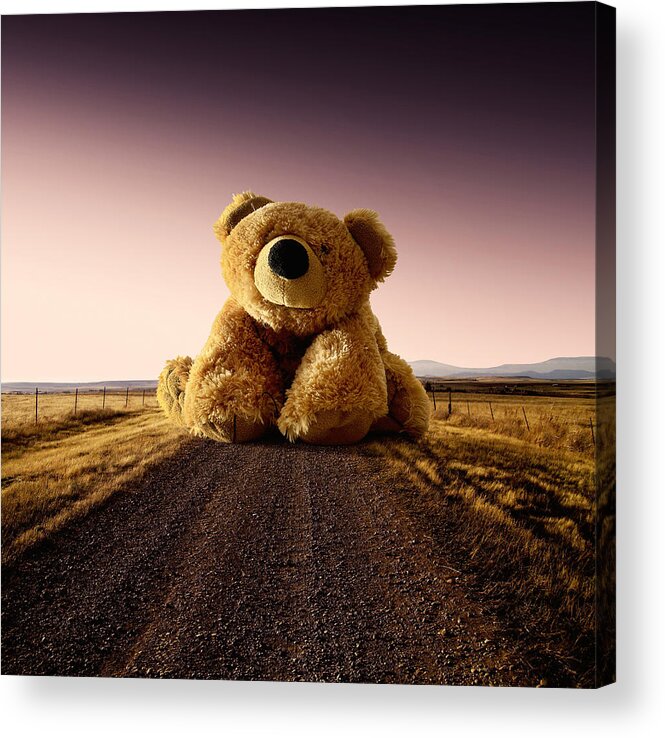 Bear Acrylic Print featuring the photograph Where The Road Ends by George Christakis