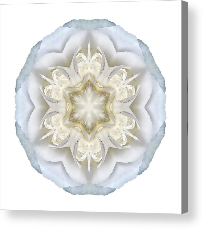 Flower Acrylic Print featuring the photograph White Begonia II Flower Mandala White by David J Bookbinder