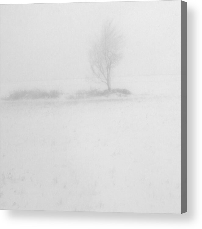 Black And White Acrylic Print featuring the photograph White out by Arkady Kunysz