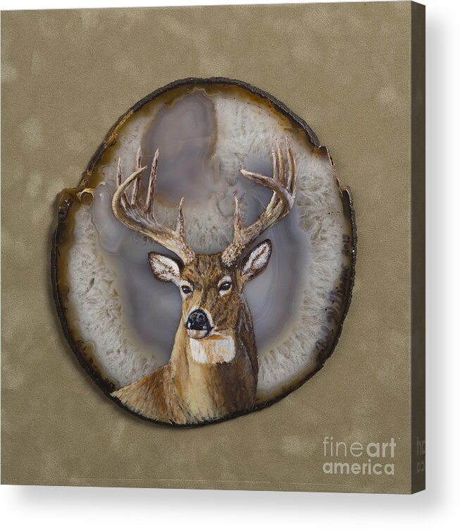 Deer Acrylic Print featuring the painting Whitetail Authority by Bob Williams