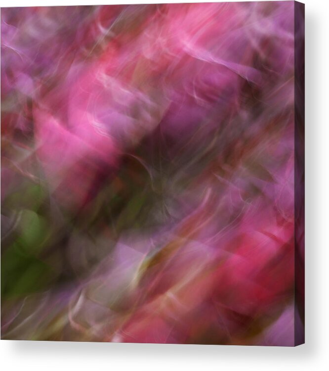 Nature Acrylic Print featuring the photograph Wind Dancing 98 by Cheryl Rau