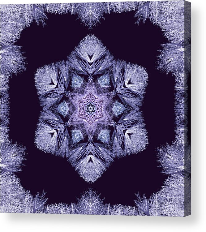 Snowflake Acrylic Print featuring the digital art Winter Dandelion by Deborah Smith