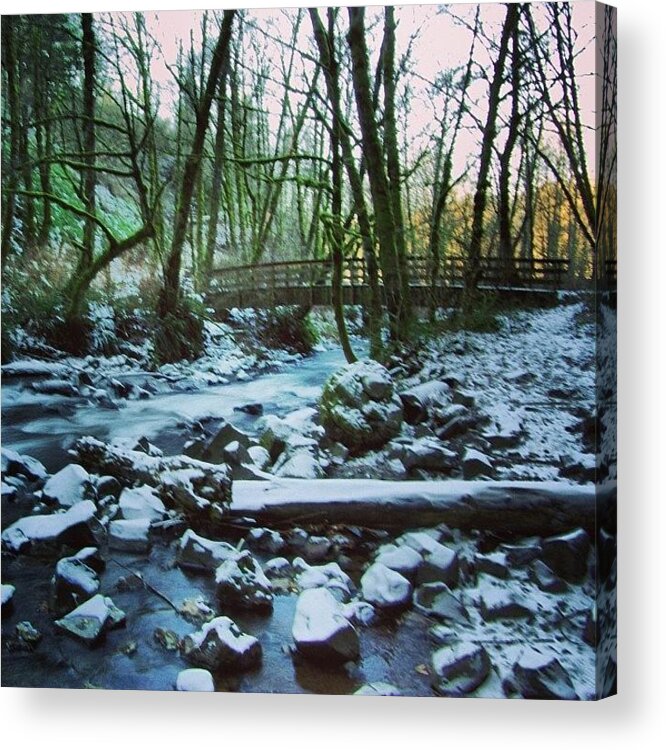  Acrylic Print featuring the photograph Winter In The Columbia River Gorge by Mike Warner