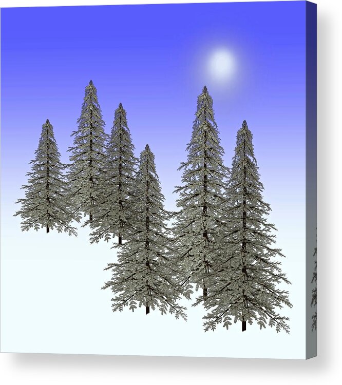 Tree Acrylic Print featuring the painting Winter Pines Ice and Snow by David Dehner