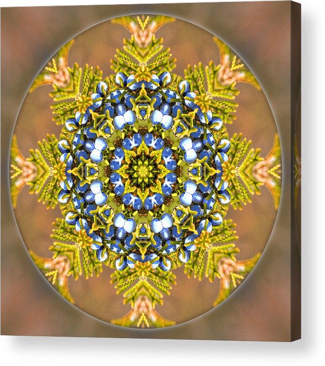  Acrylic Print featuring the photograph Winter Solstice Mandala by Beth Sawickie