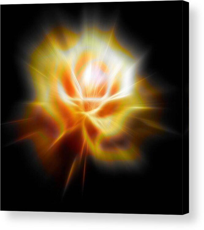 Yellow Acrylic Print featuring the digital art Yellow glowing Rose by Lilia S